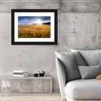 Golden Hour Wheat Field Wall Art