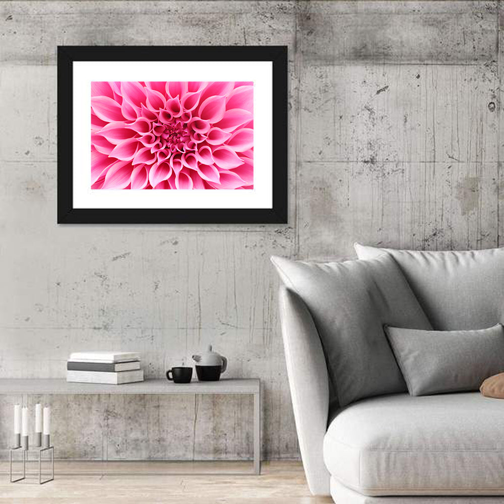 Pink Dahlia Spiral Close-up Wall Art