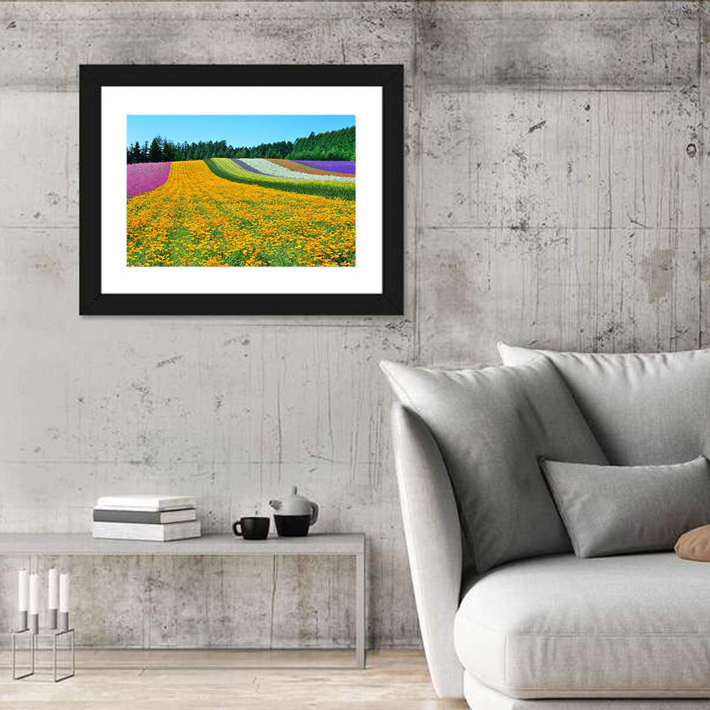 Tomita Flower Fields, Nakafurano Wall Art