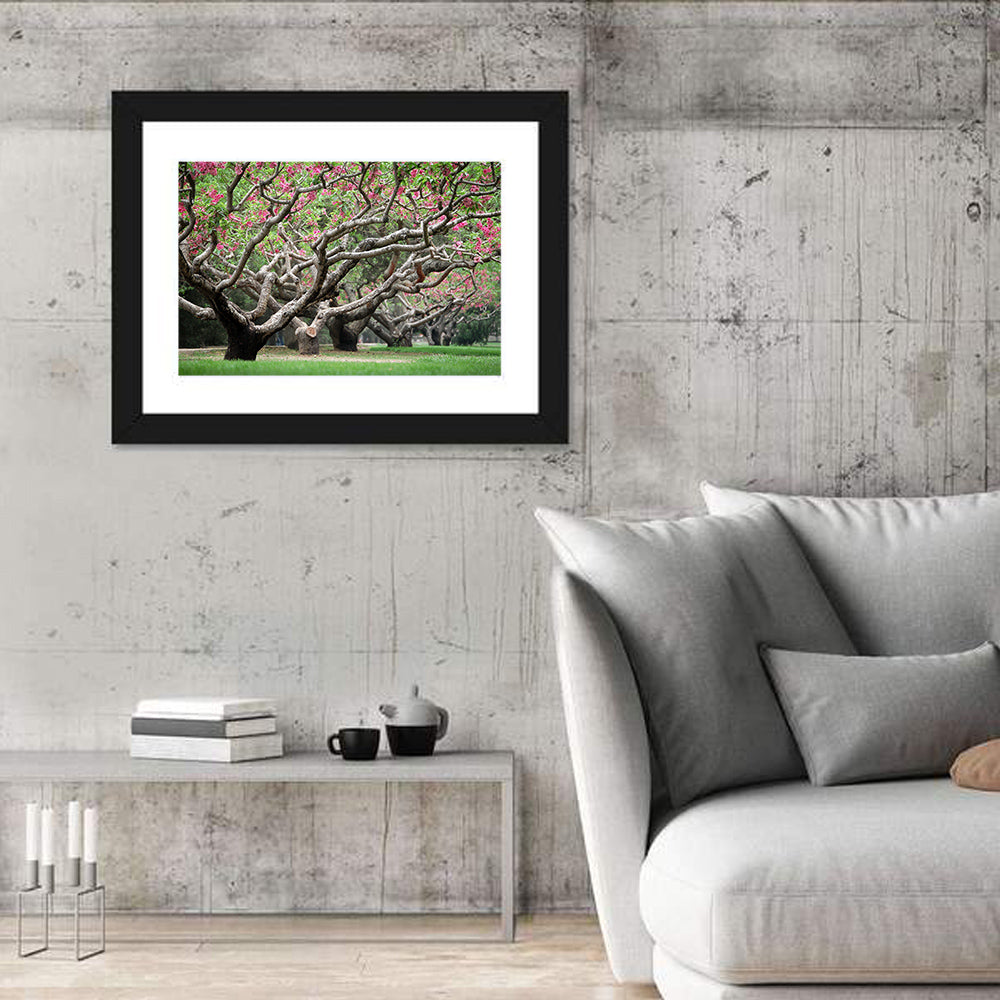 Peach Orchard in Bloom Wall Art