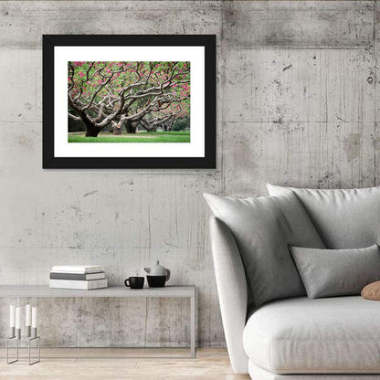 Peach Orchard in Bloom Wall Art