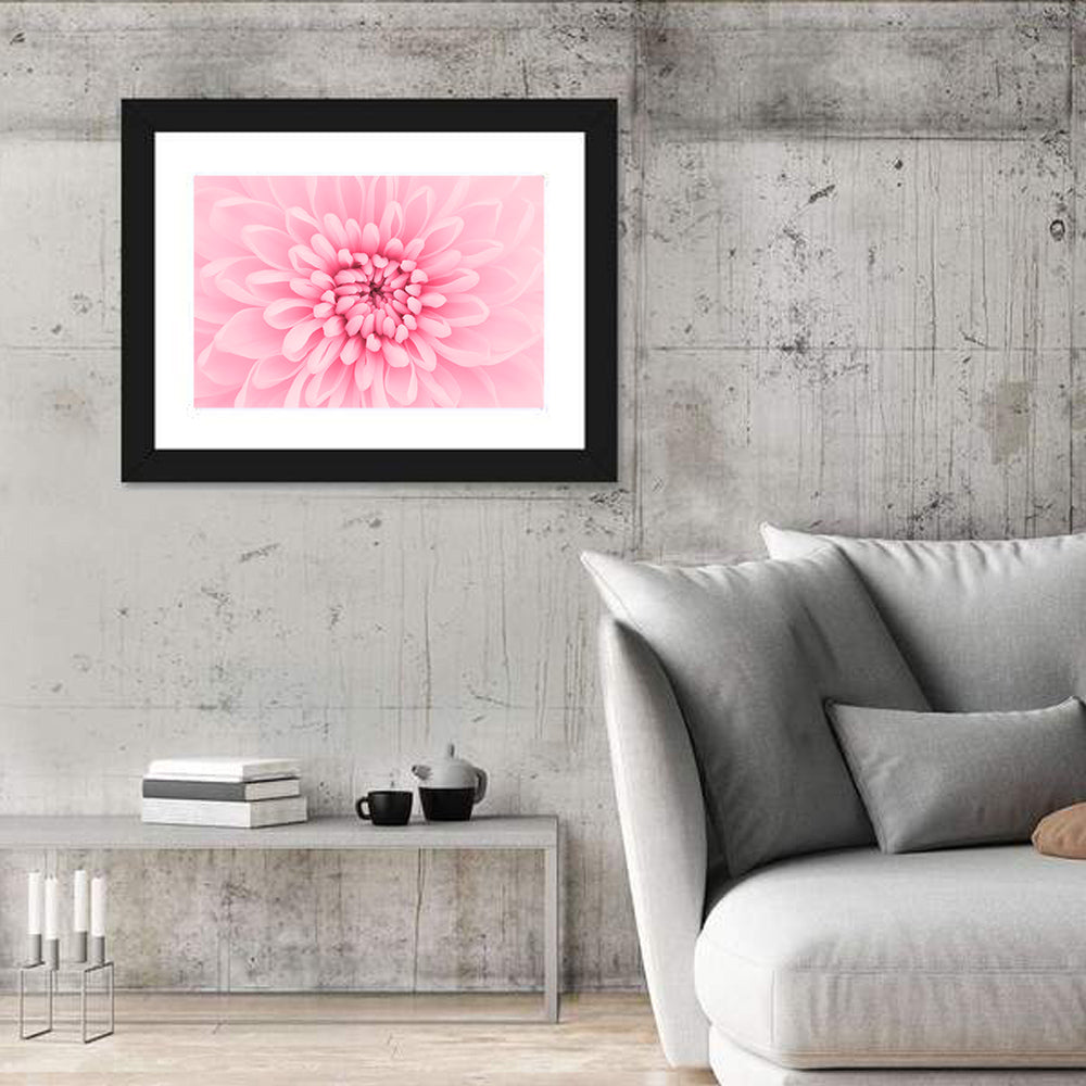 Pink Chrysanthemum Close-up Wall Art
