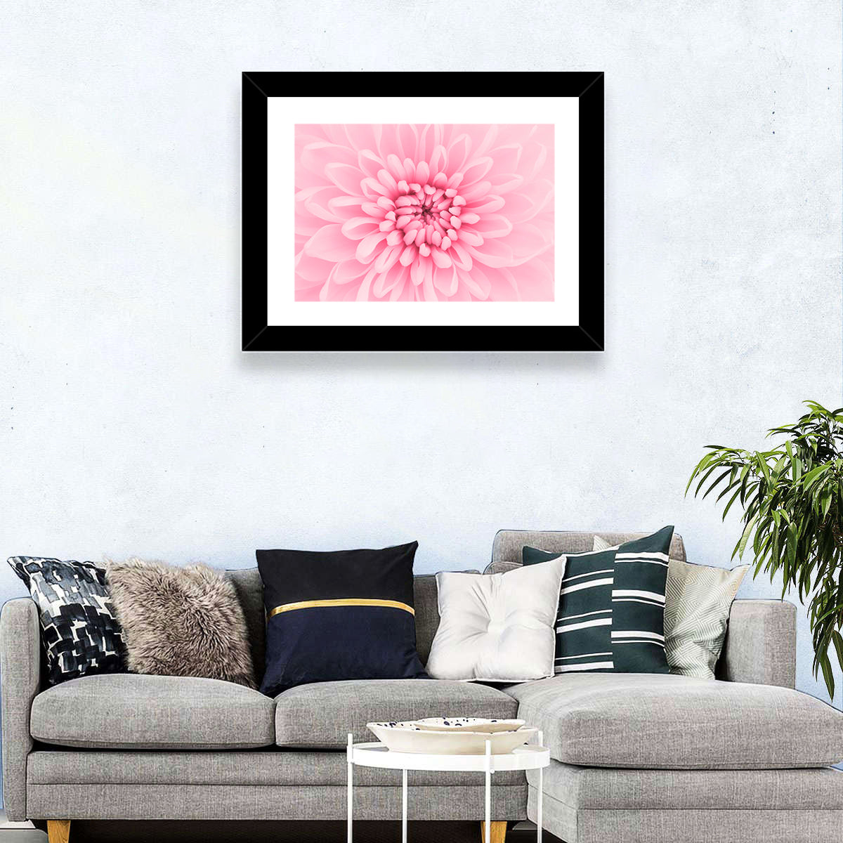 Pink Chrysanthemum Close-up Wall Art
