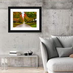 Tree-lined Farm Lane, Kentucky Wall Art