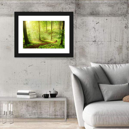 Sunlit Forest Path Wall Art