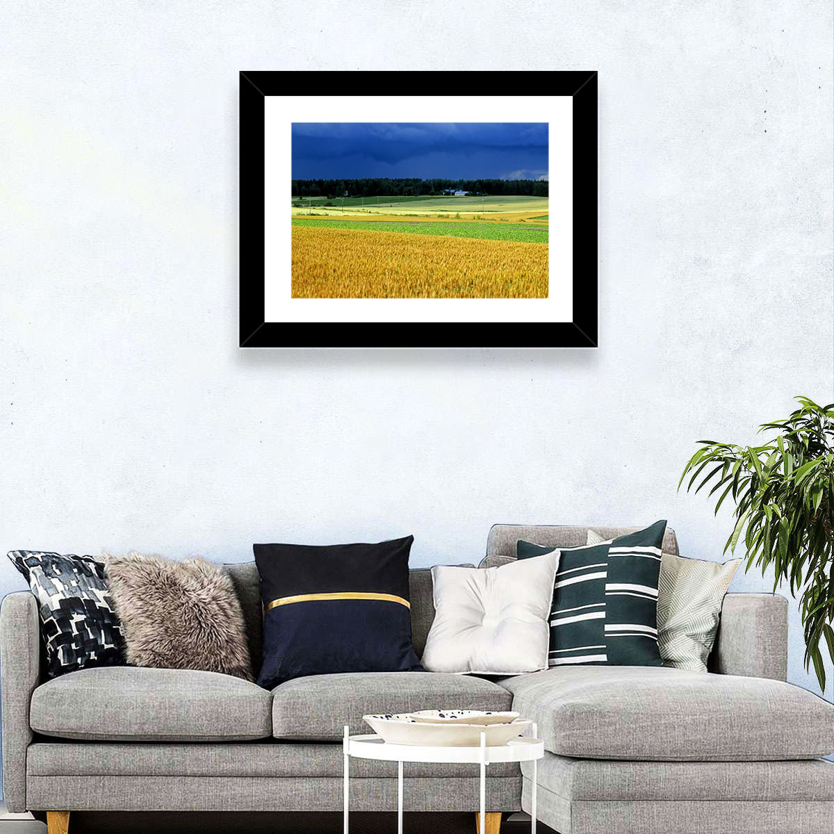 Cornfields Under Stormy Sky Wall Art