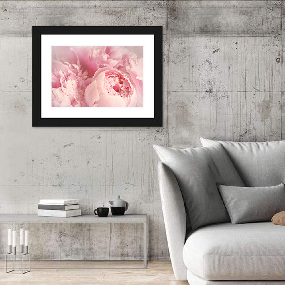 Soft Pink Peony Close Up Wall Art