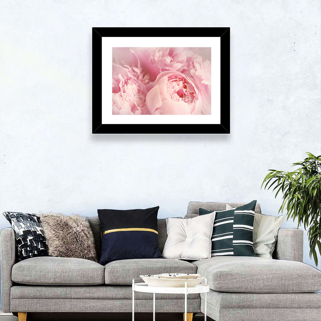 Soft Pink Peony Close Up Wall Art