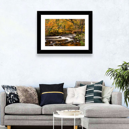 Dartmoor Autumn River in Golden Forest Wall Art