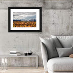 Talkeetna Autumn Landscape Wall Art