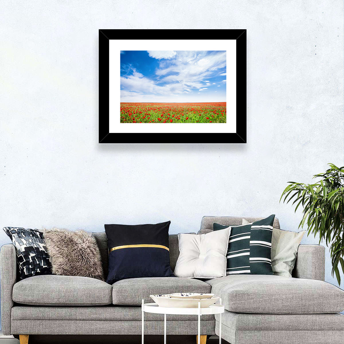 Red Poppy Field Wall Art
