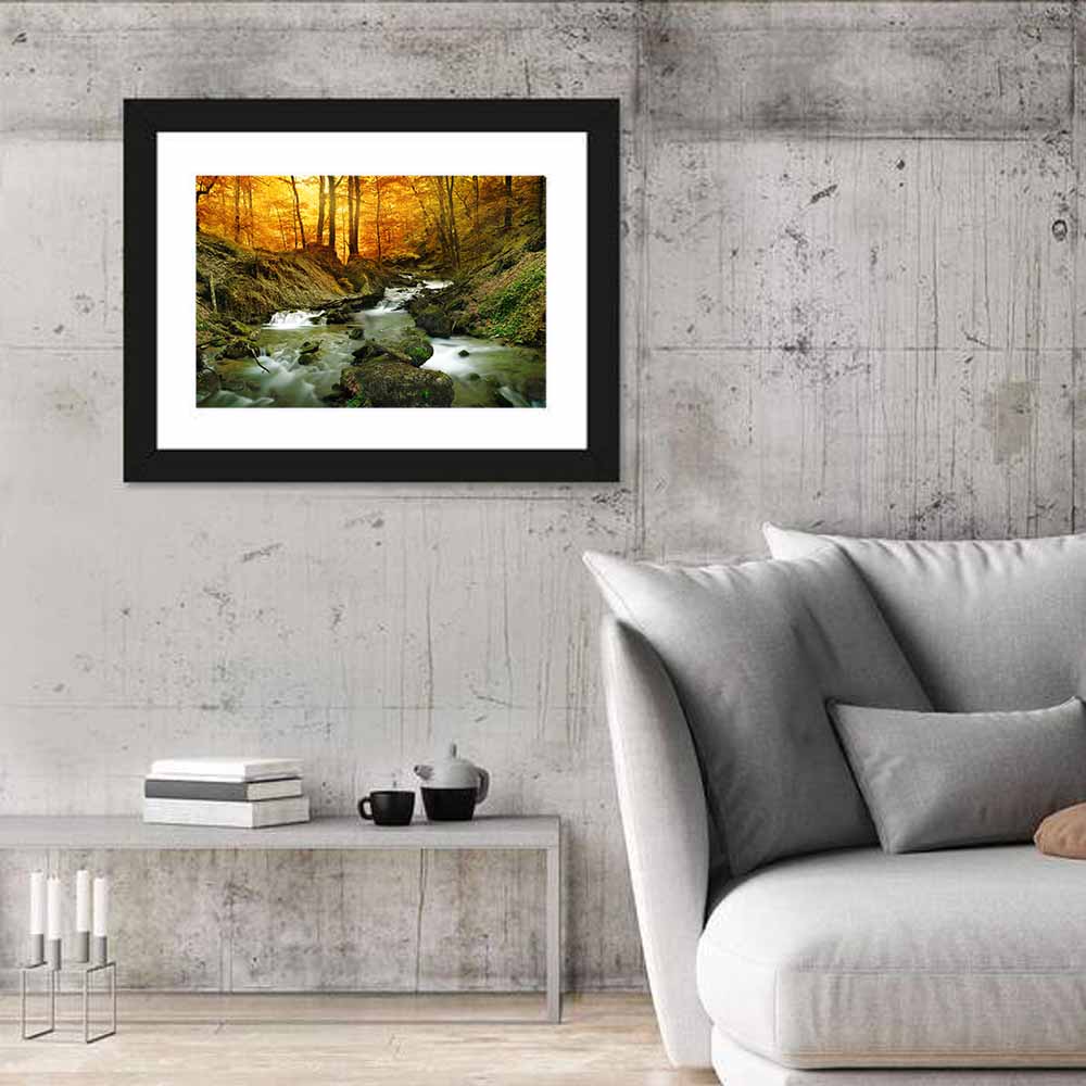 Sunlit Forest Stream Wall Art