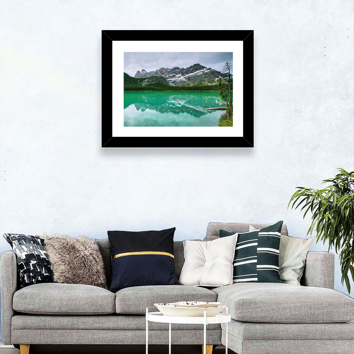 Lake O'hara Reflection Wall Art