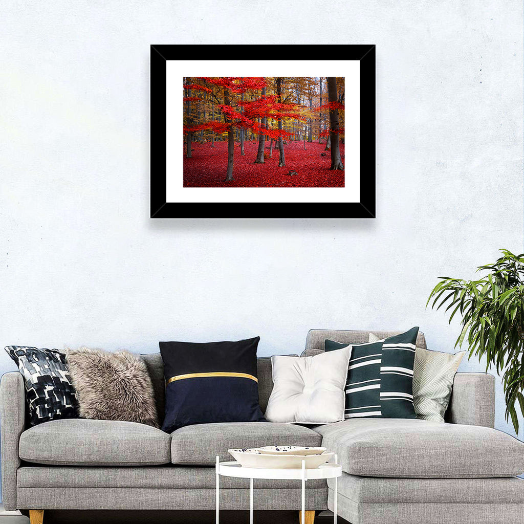 Crimson Autumn Forest Wall Art