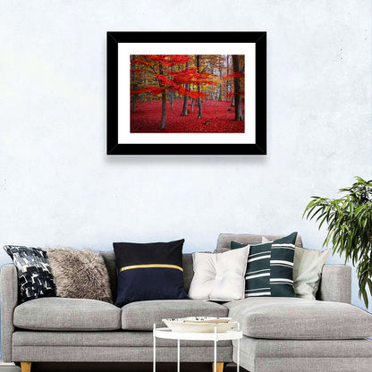 Crimson Autumn Forest Wall Art