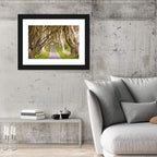 Dark Hedges, Northern Ireland Wall Art