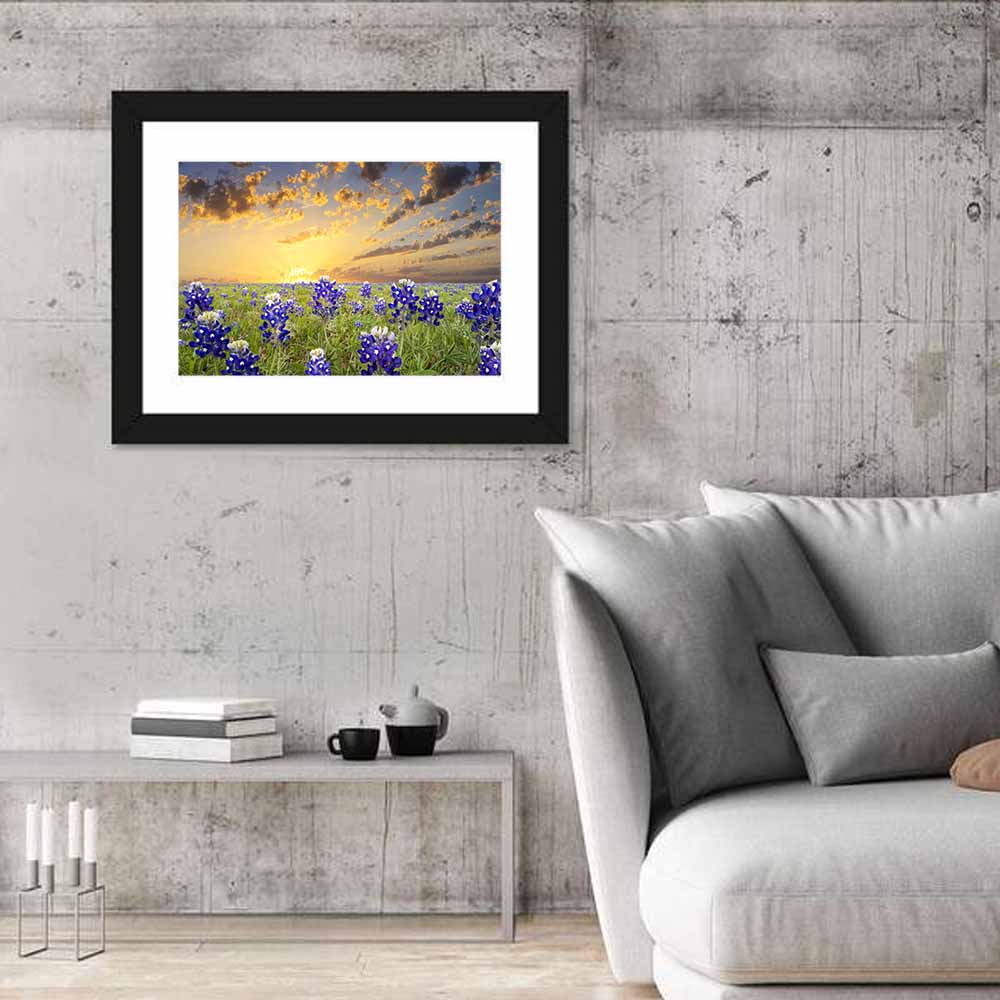 Bluebonnet Field at Sunset Wall Art in a room, landscape