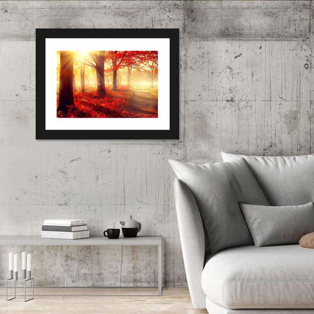 Sunlit Forest Path Wall Art in a room, landscape
