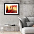 Sunlit Forest Path Wall Art