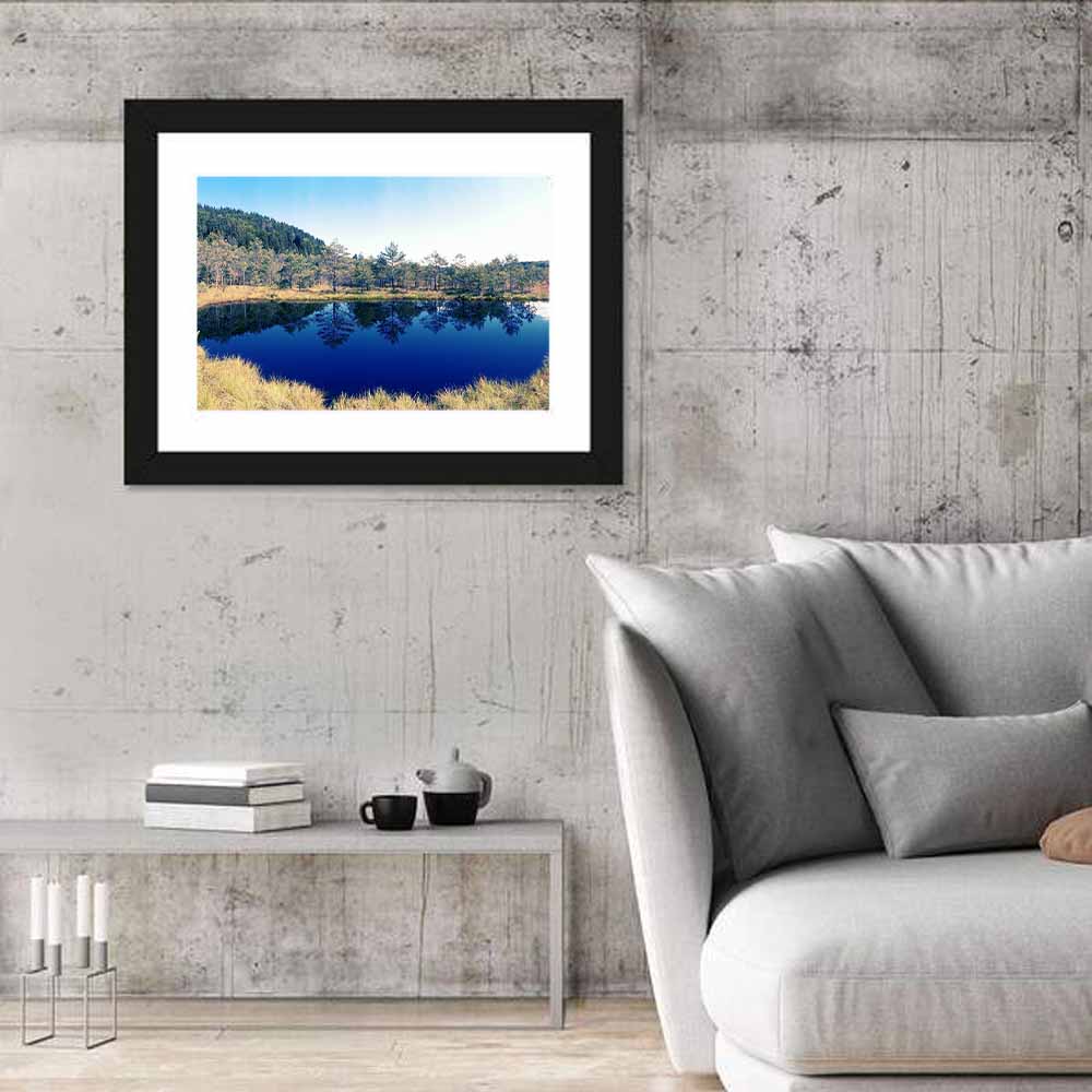 Tundra Reservation Park Lake Wall Art in a room, landscape