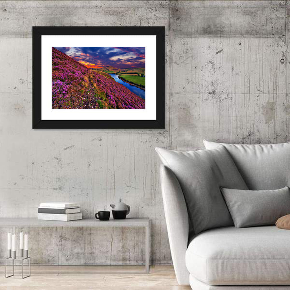 Pentland Hills Heather, Edinburgh Wall Art in a room, landscape