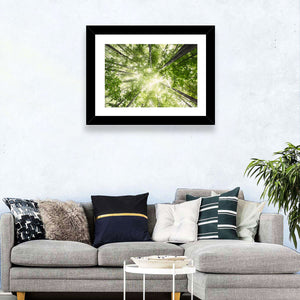 Misty Spring Forest Wall Art