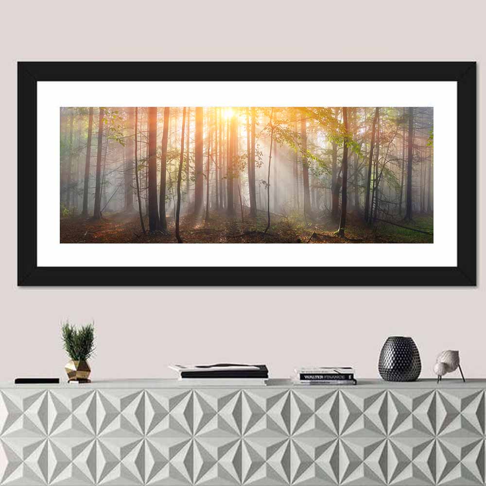 Carpathian Morning Forest Wall Art