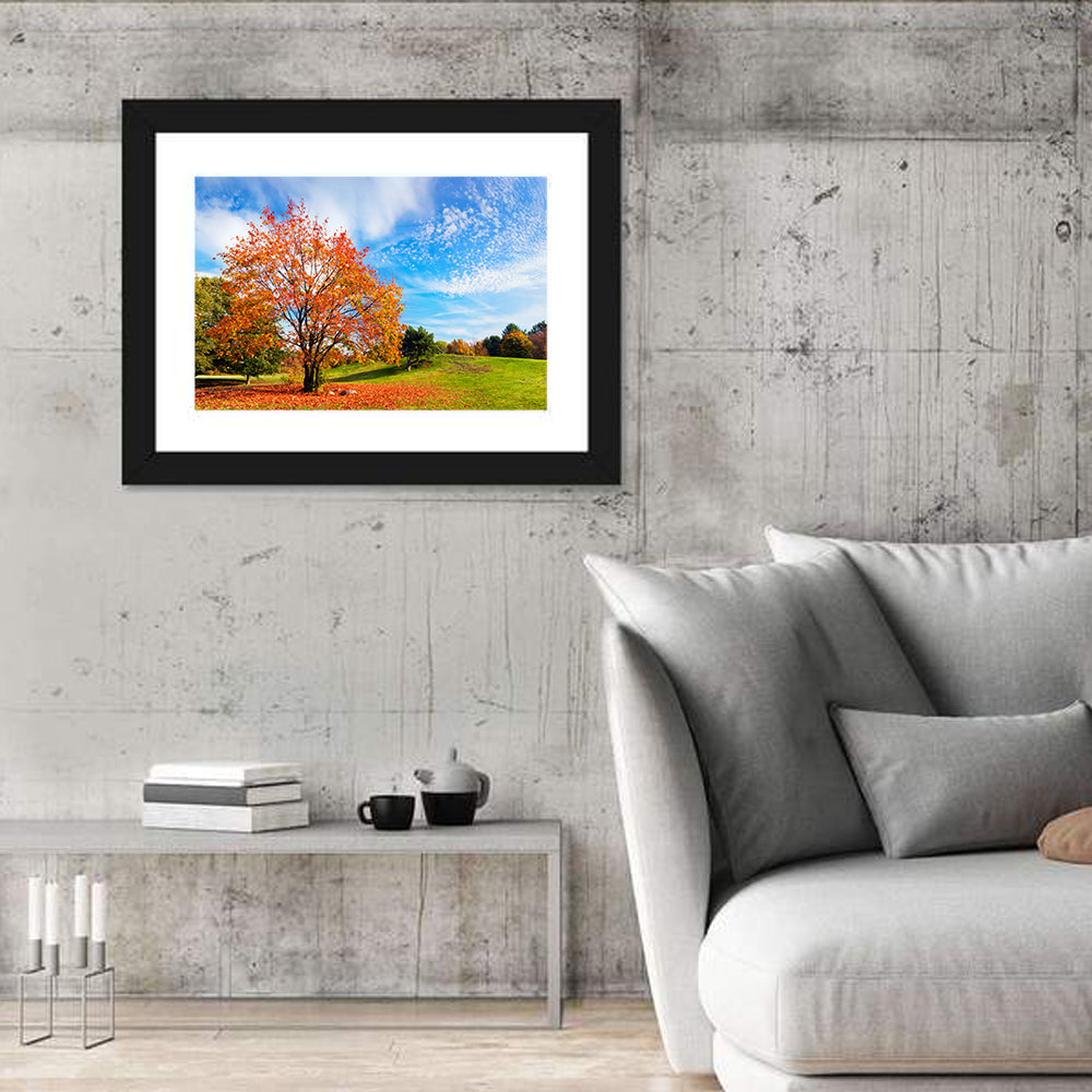Orange Maple on Rolling Hill Wall Art in a room, landscape