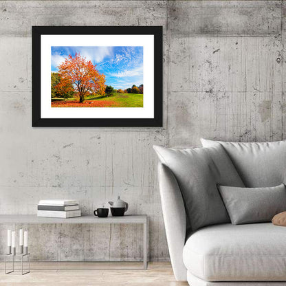 Orange Maple on Rolling Hill Wall Art