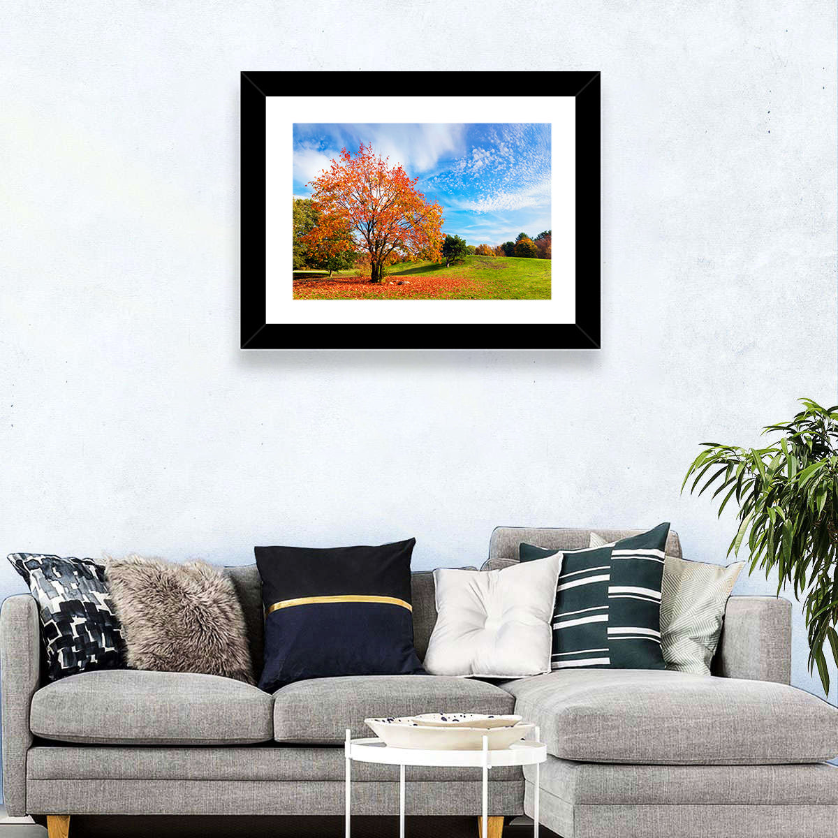 Orange Maple on Rolling Hill Wall Art