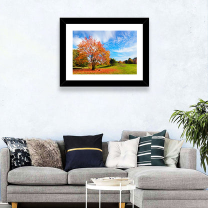 Orange Maple on Rolling Hill Wall Art