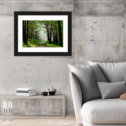 Misty Eucalyptus Road Wall Art