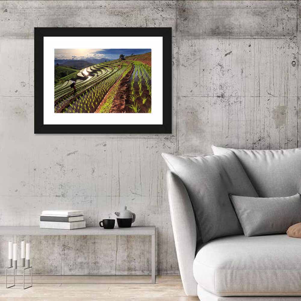 Chiang Mai Rice Terraces at Sunset Wall Art