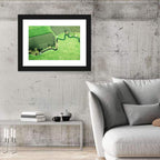 Meandering Stream Over Farmland Wall Art