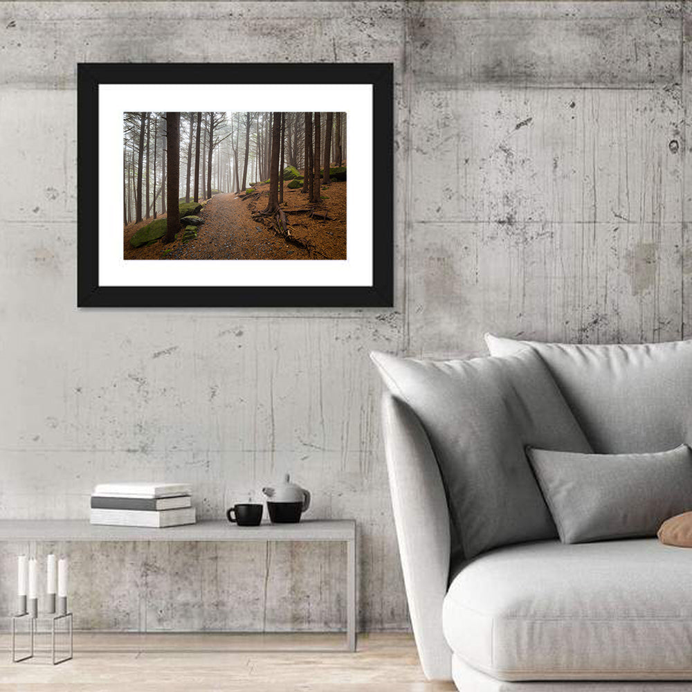 Misty Appalachian Trail Path Wall Art in a room, landscape