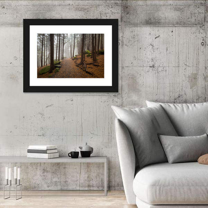 Misty Appalachian Trail Path Wall Art