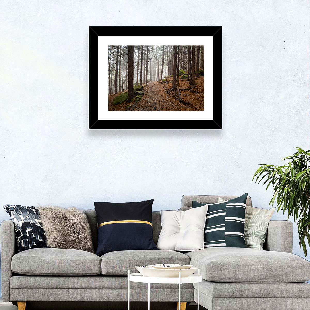 Misty Appalachian Trail Path Wall Art