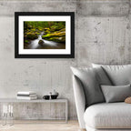 Mossy Forest Stream Wall Art