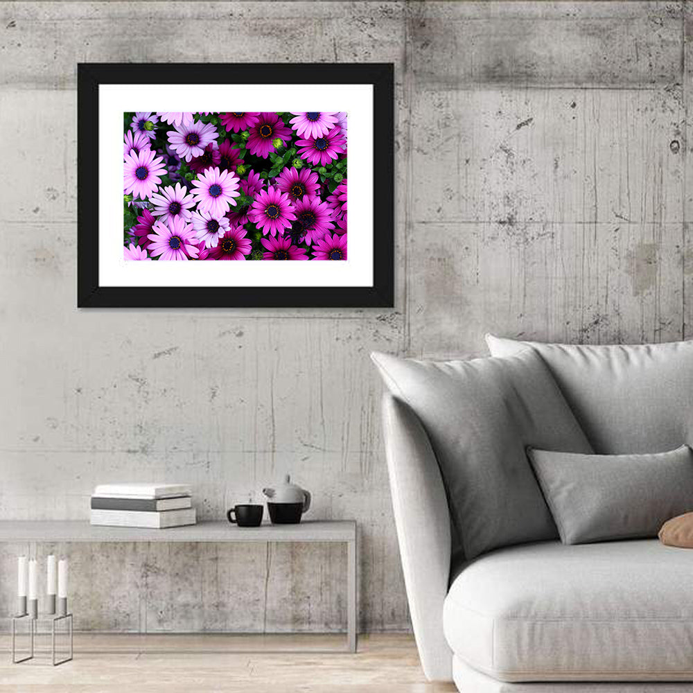 Pink and Purple Daisies Wall Art in a room, landscape