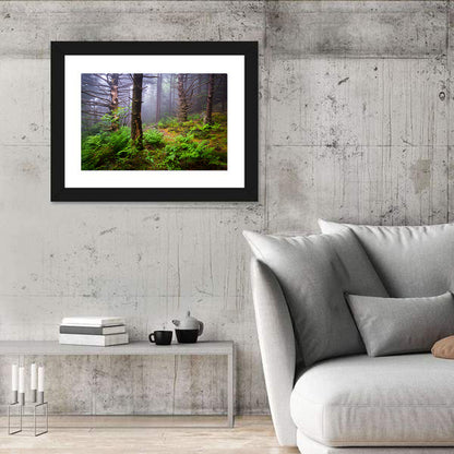 Misty Spruce-fir Trail Wall Art