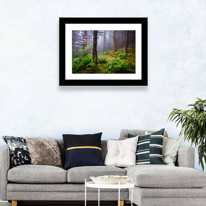Misty Spruce-fir Trail Wall Art