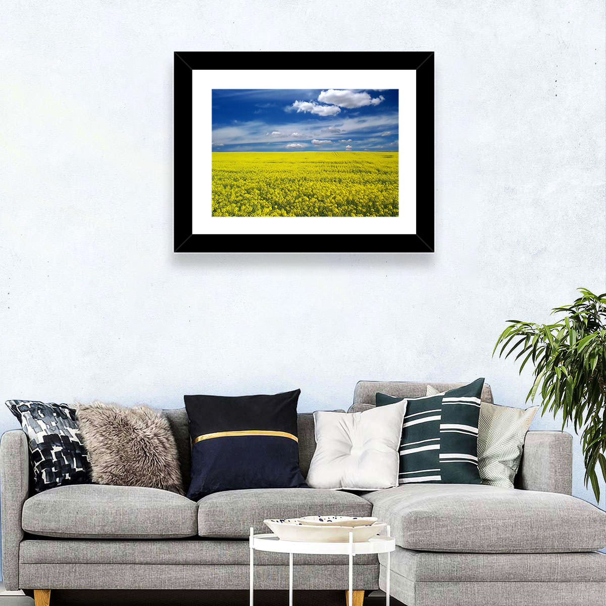 Sunlit Canola Field Wall Art in a room, landscape