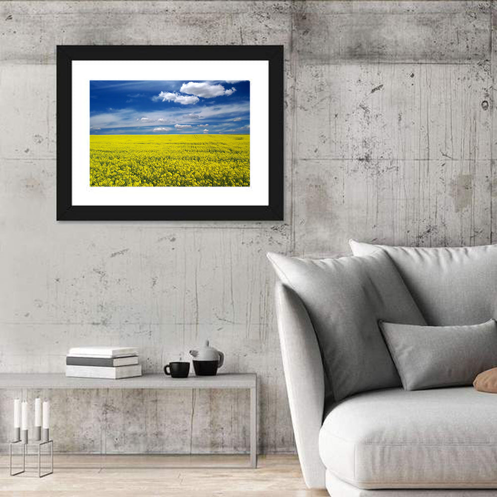 Sunlit Canola Field Wall Art