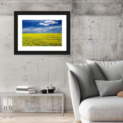 Sunlit Canola Field Wall Art