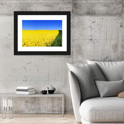 Sunlit Rapeseed Field Wall Art