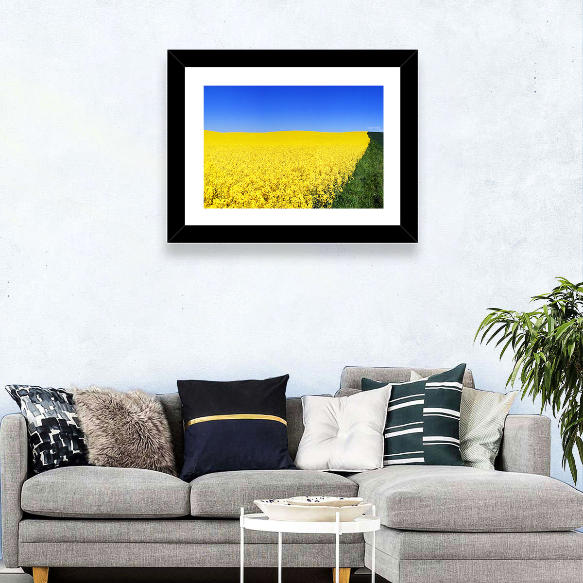 Sunlit Rapeseed Field Wall Art