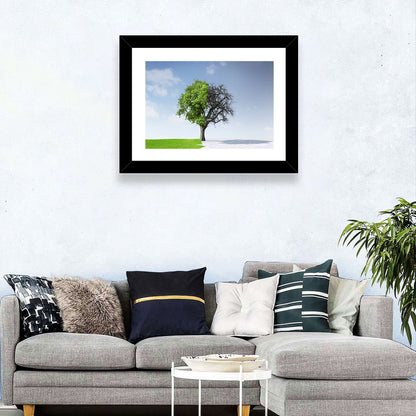 Split Seasons Tree Wall Art