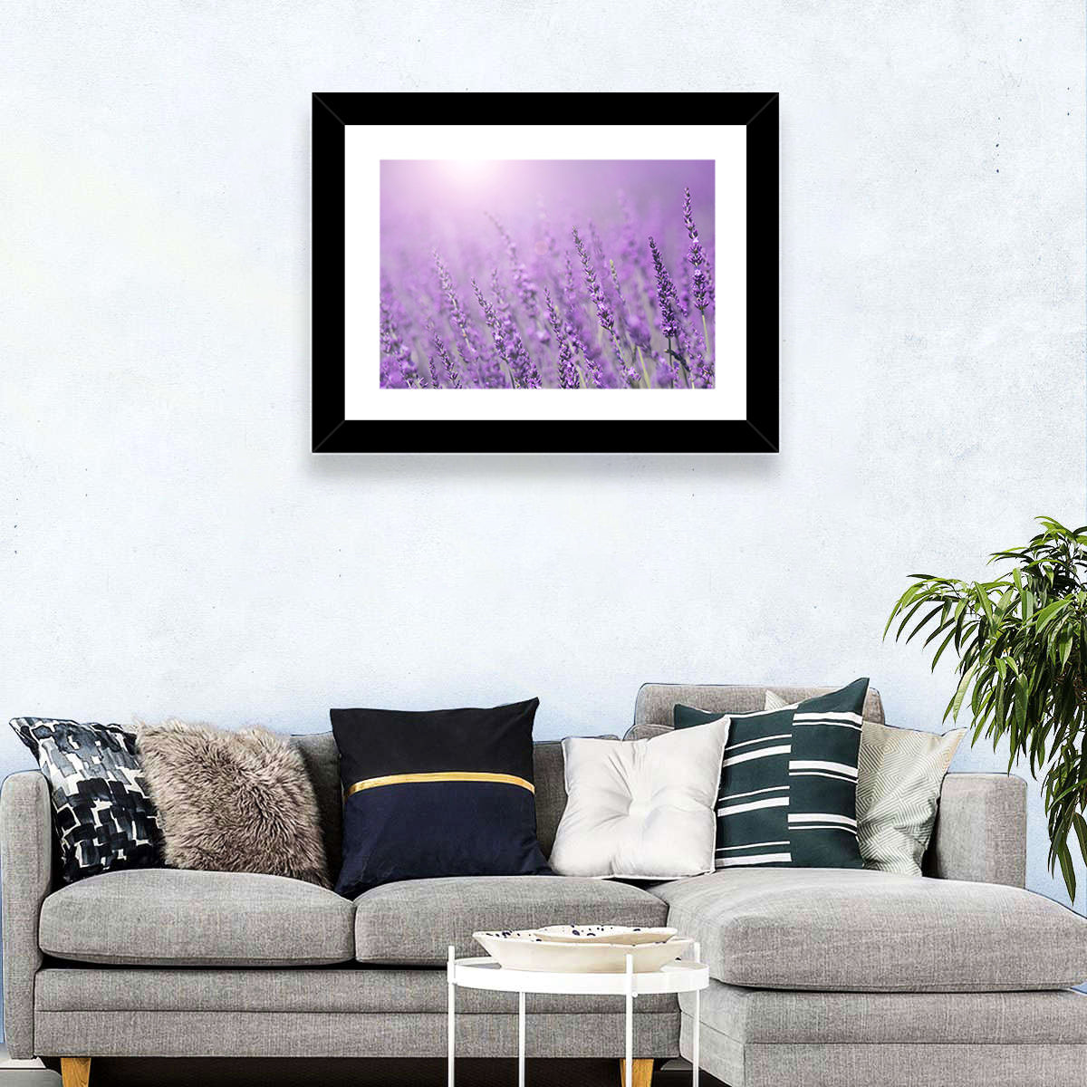 Sunlit Lavender Field Wall Art