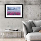 Misty Pink Tulip Field Wall Art