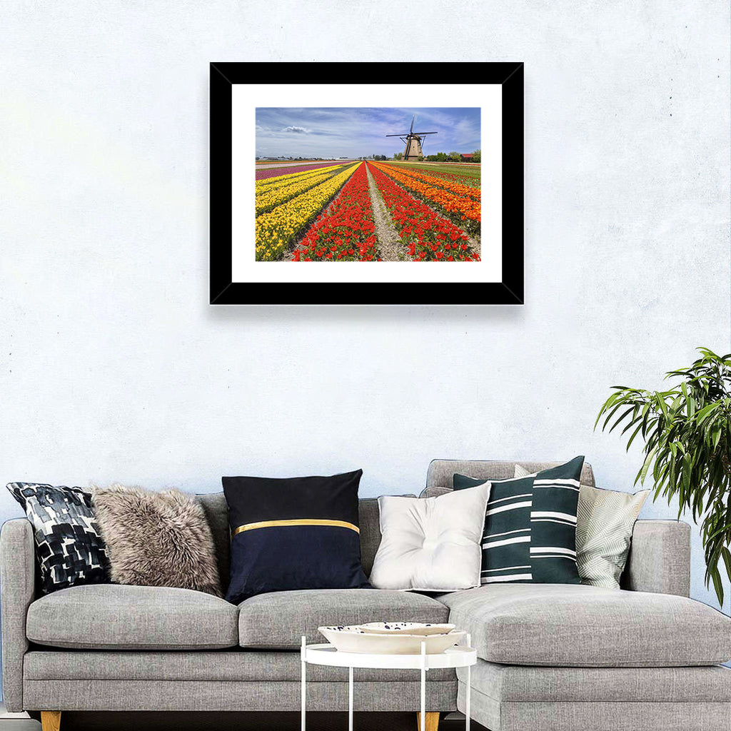 Spring Tulip Fields with Dutch Windmill Wall Art